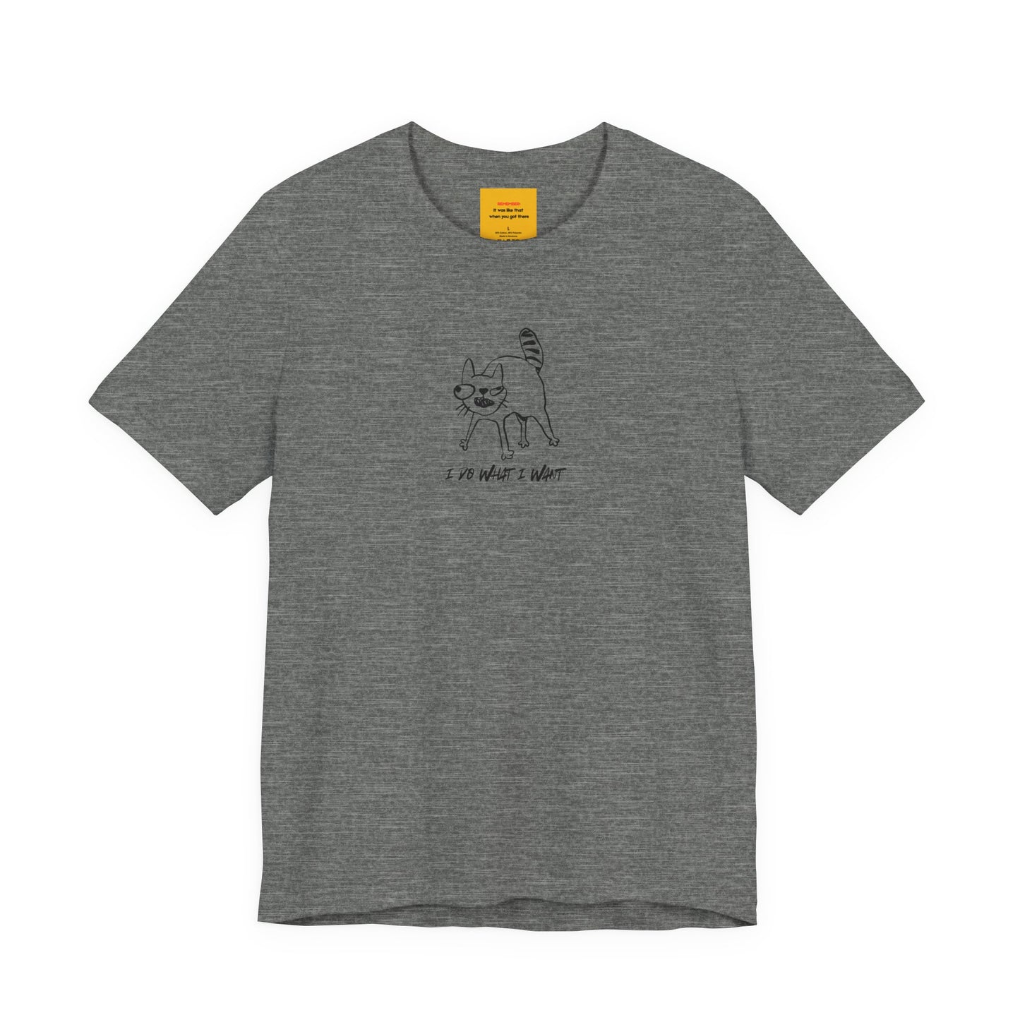 gray I DO WHAT I WANT graphic tee - crazy cat lady cat dad humor shirt