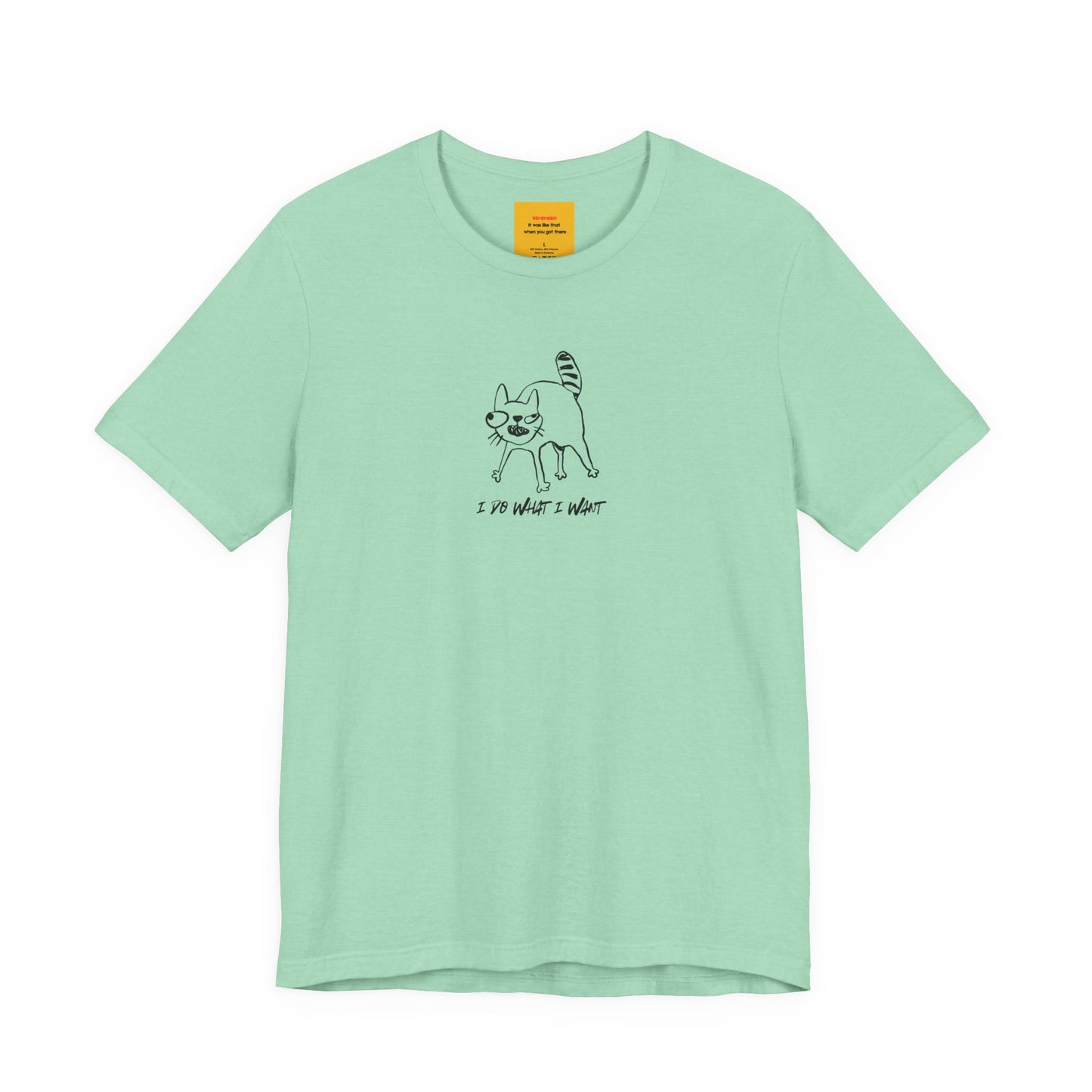 mint green I DO WHAT I WANT graphic tee - crazy cat lady cat dad humor shirt