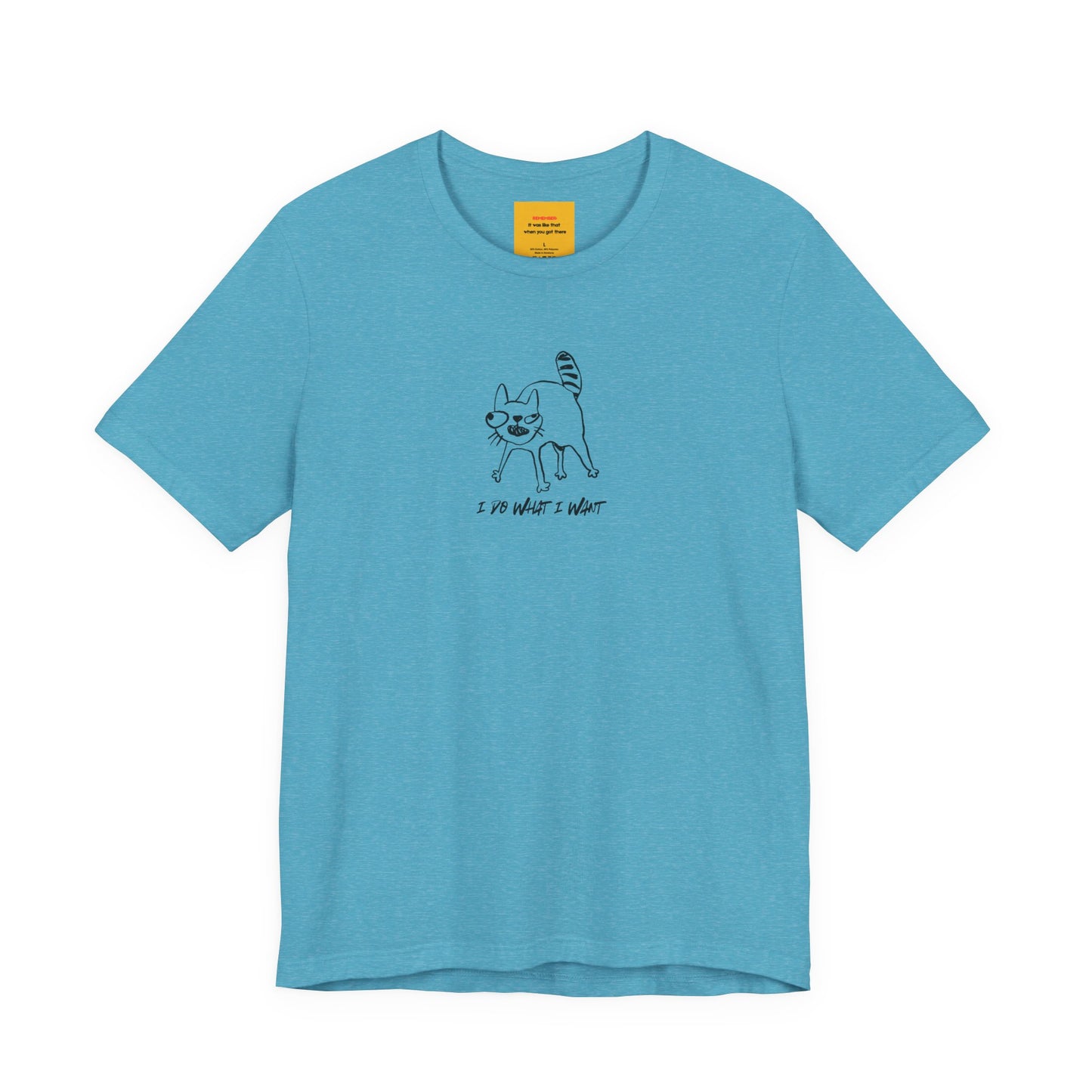 blue I DO WHAT I WANT graphic tee - crazy cat lady cat dad humor shirt